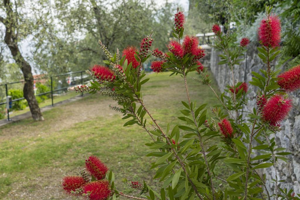 Monja Camping Village Brenzone sul Garda Luaran gambar