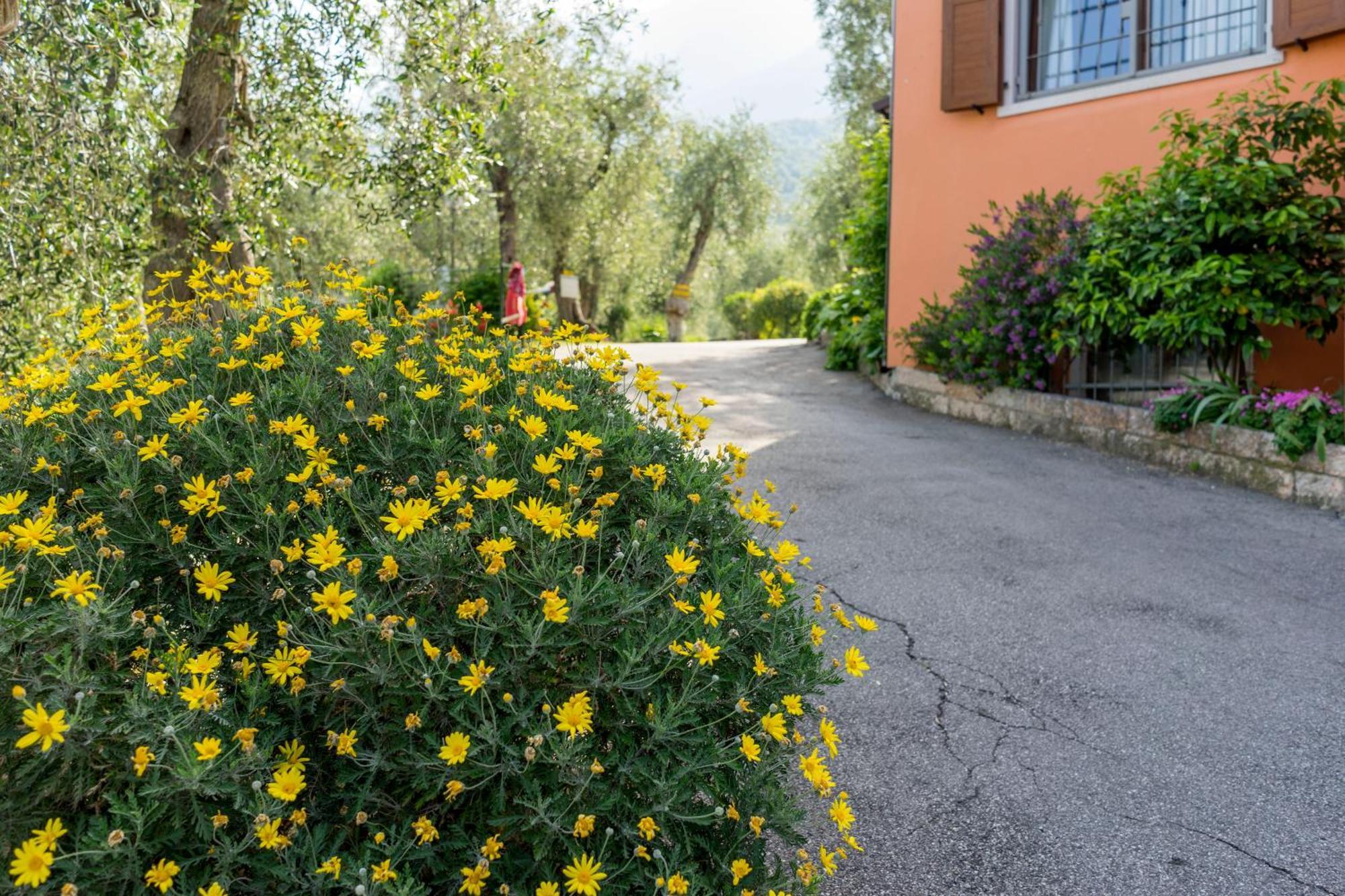 Monja Camping Village Brenzone sul Garda Luaran gambar