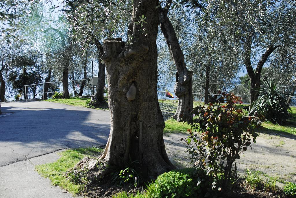 Monja Camping Village Brenzone sul Garda Luaran gambar